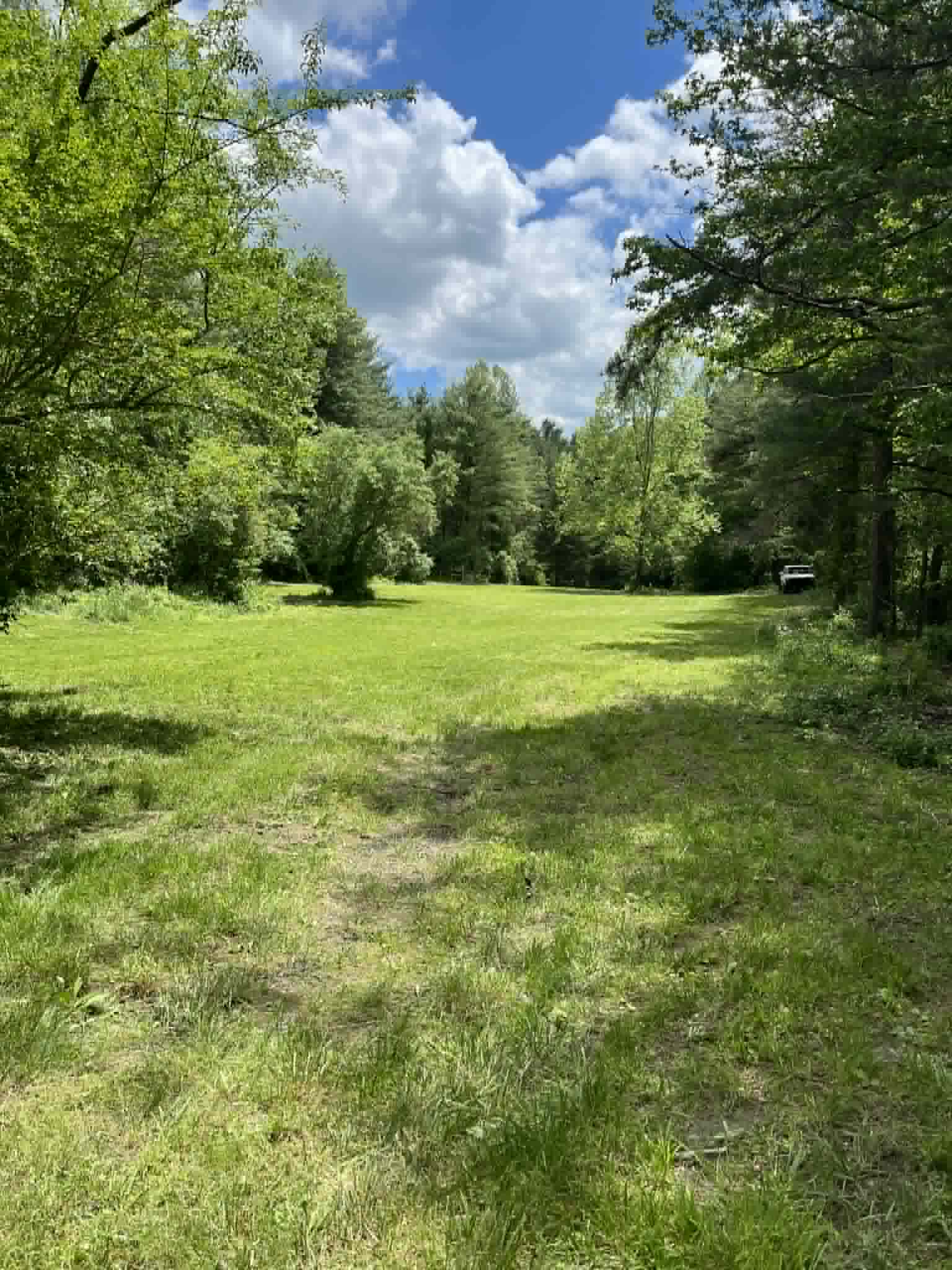 lawn1